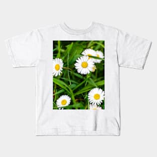 Daisies, spring flowers full of tenderness and beauty Kids T-Shirt